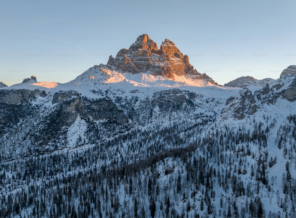 a snow covered mountain with trees in the foreground