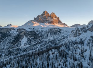 a snow covered mountain with trees in the foreground