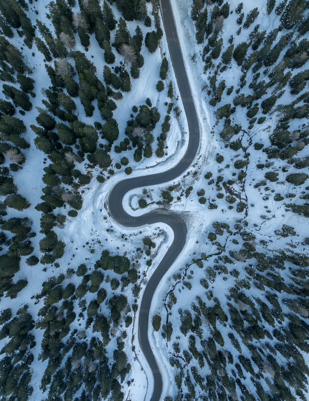 a winding road in the middle of a snow covered forest