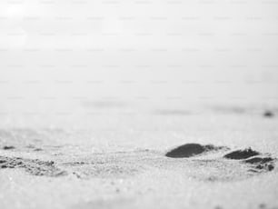 모래에 발자국의 흑백 사진
