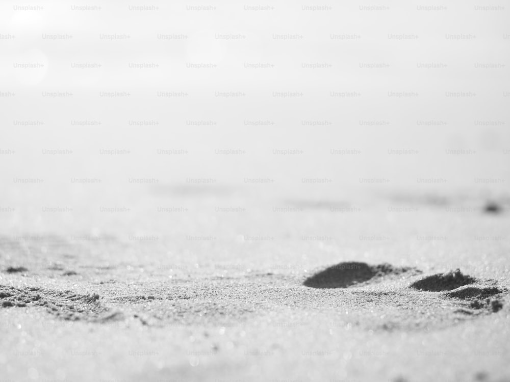 Une photo en noir et blanc d’empreintes de pas dans le sable