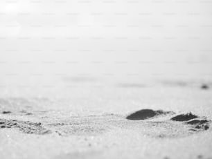 a black and white photo of footprints in the sand