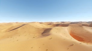 Eine Wüstenlandschaft mit Sanddünen und Gras