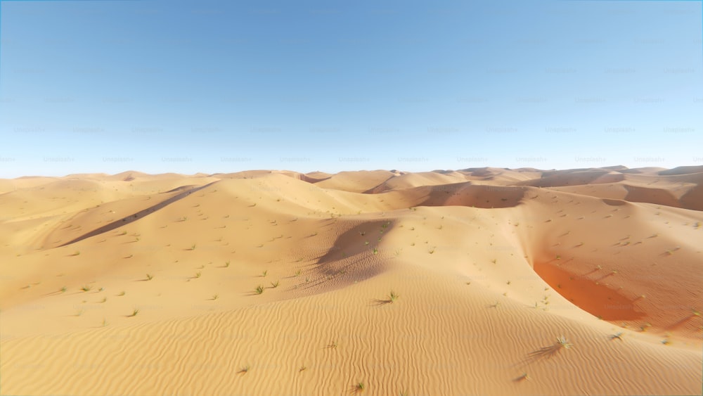 모래 언덕과 풀이 있는 사막 풍경
