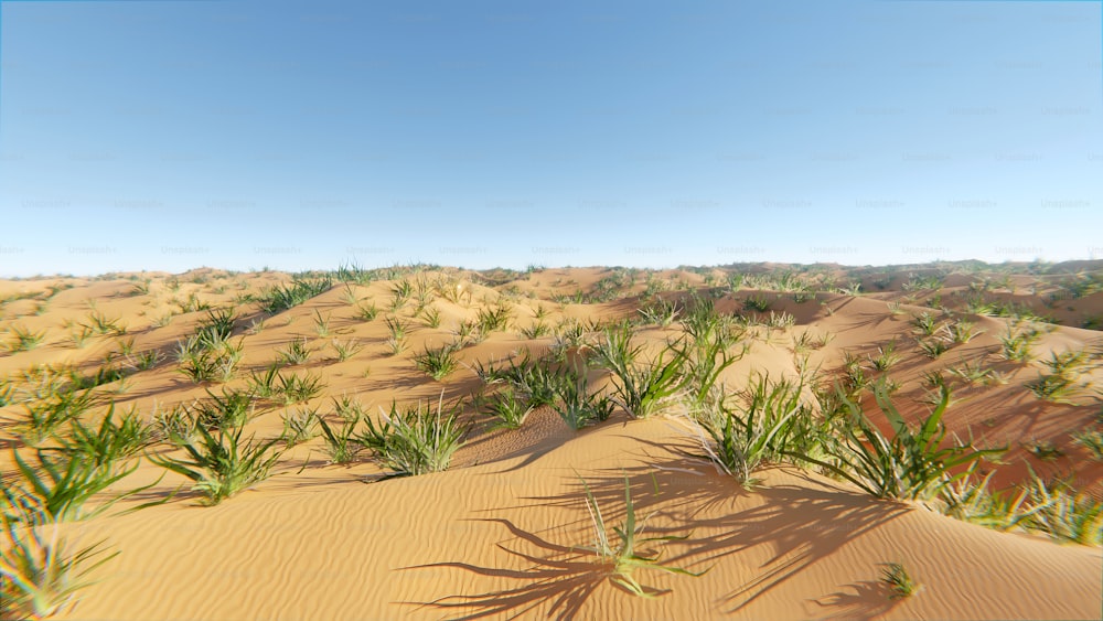 a picture of a desert with grass growing in the sand