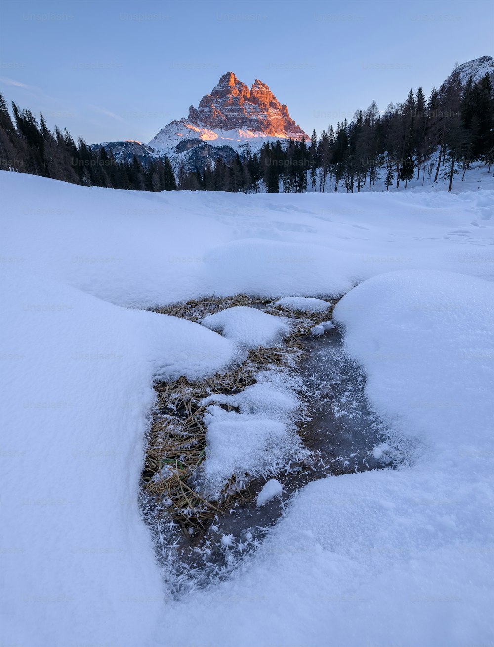 a snowy landscape with a mountain in the background