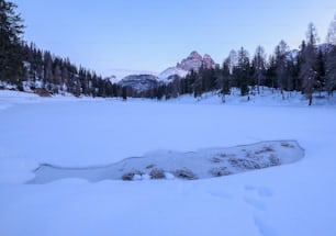 a snow covered field with trees and mountains in the background