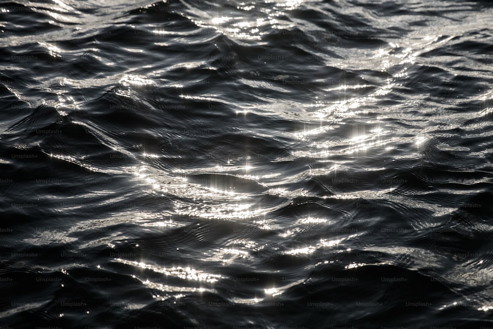 태양은 표면�에서 반사되면서 물 위에 빛납니다.