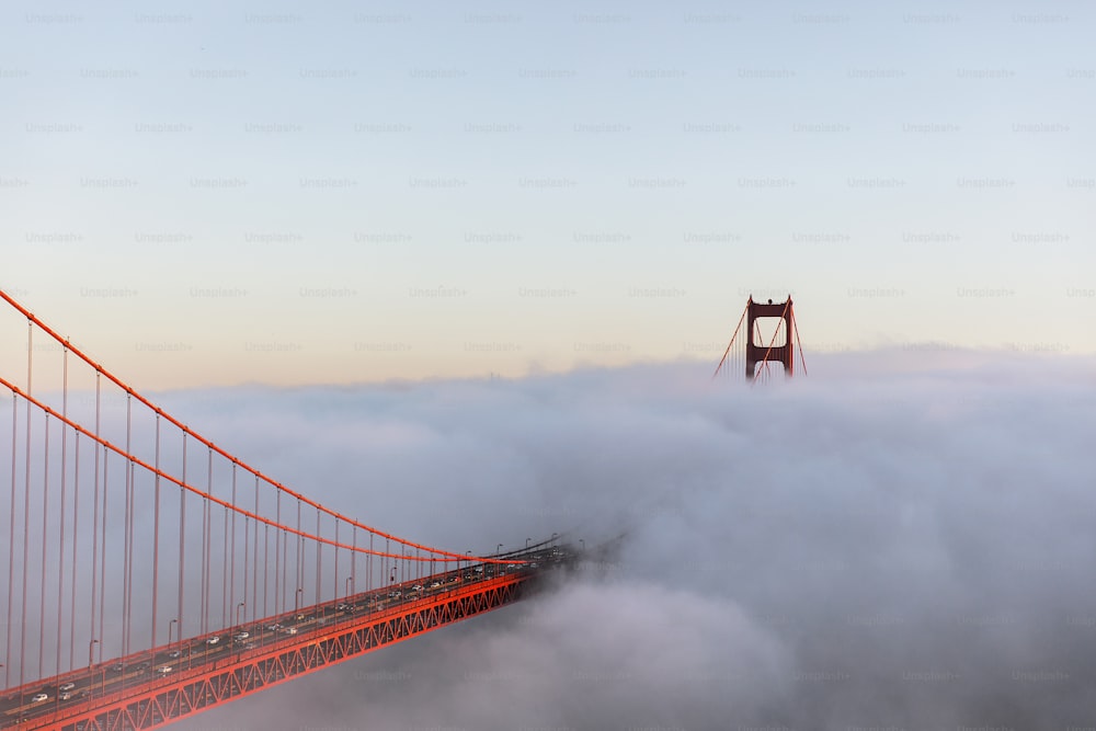 a view of the golden gate bridge in the fog