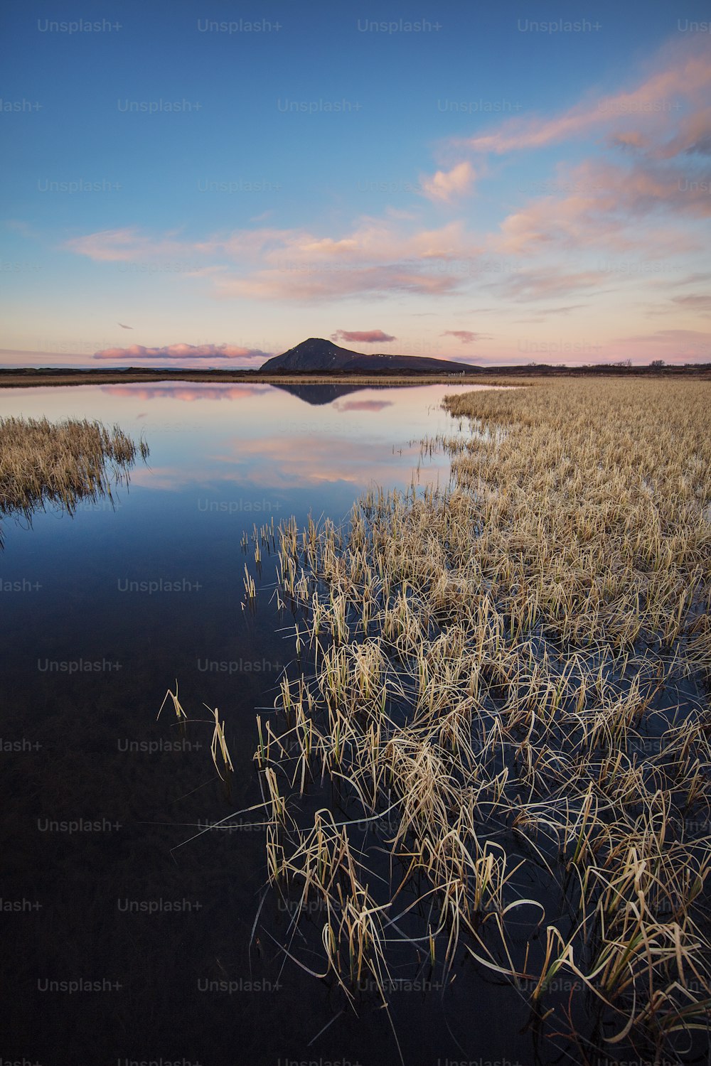 a body of water surrounded by grass and a hill