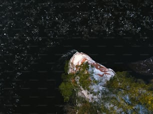 an aerial view of a boat in the water