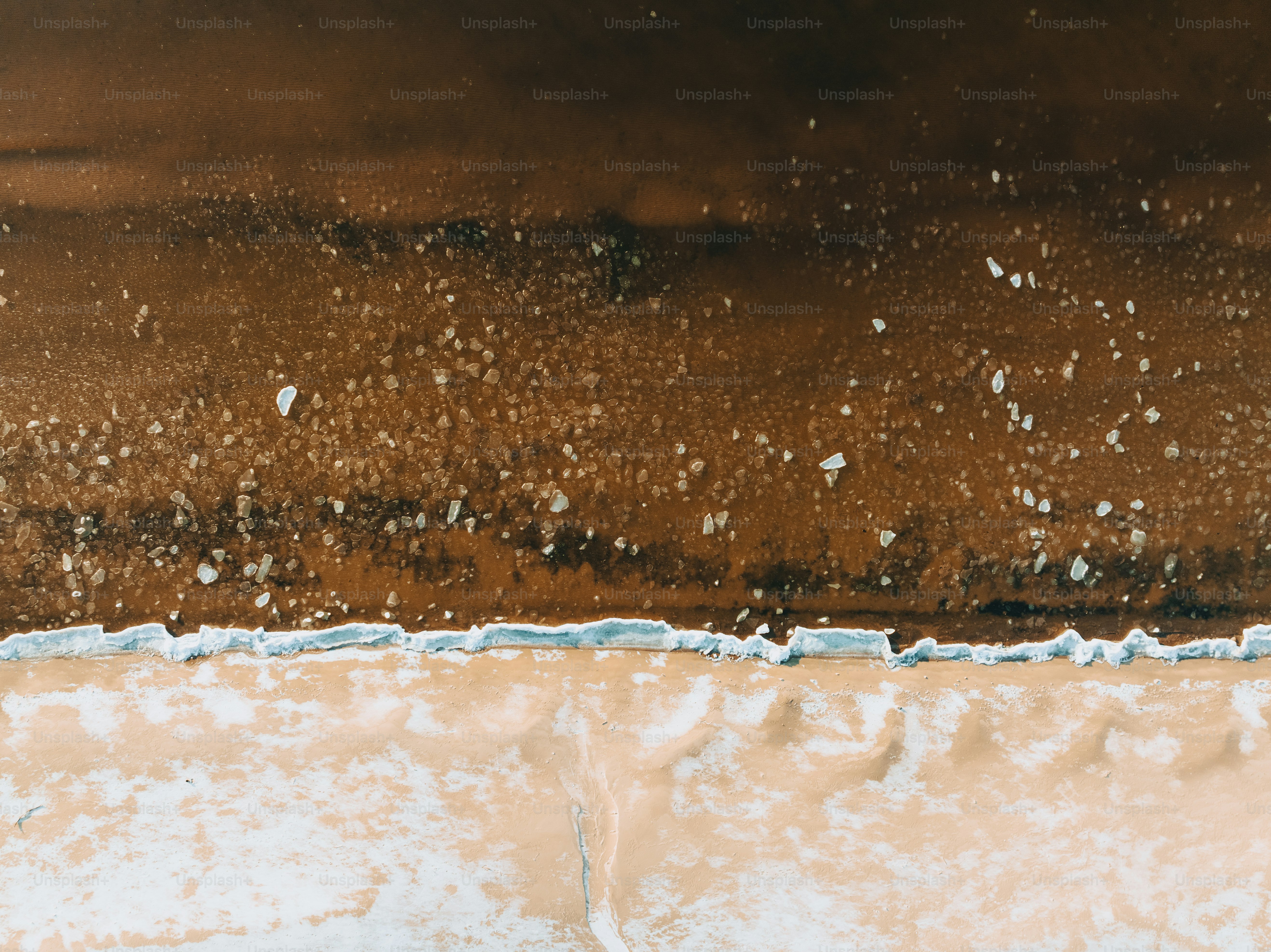 Ein Vogel fliegt über einen Sandstrand neben dem Meer