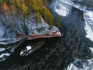 an aerial view of a river in the woods