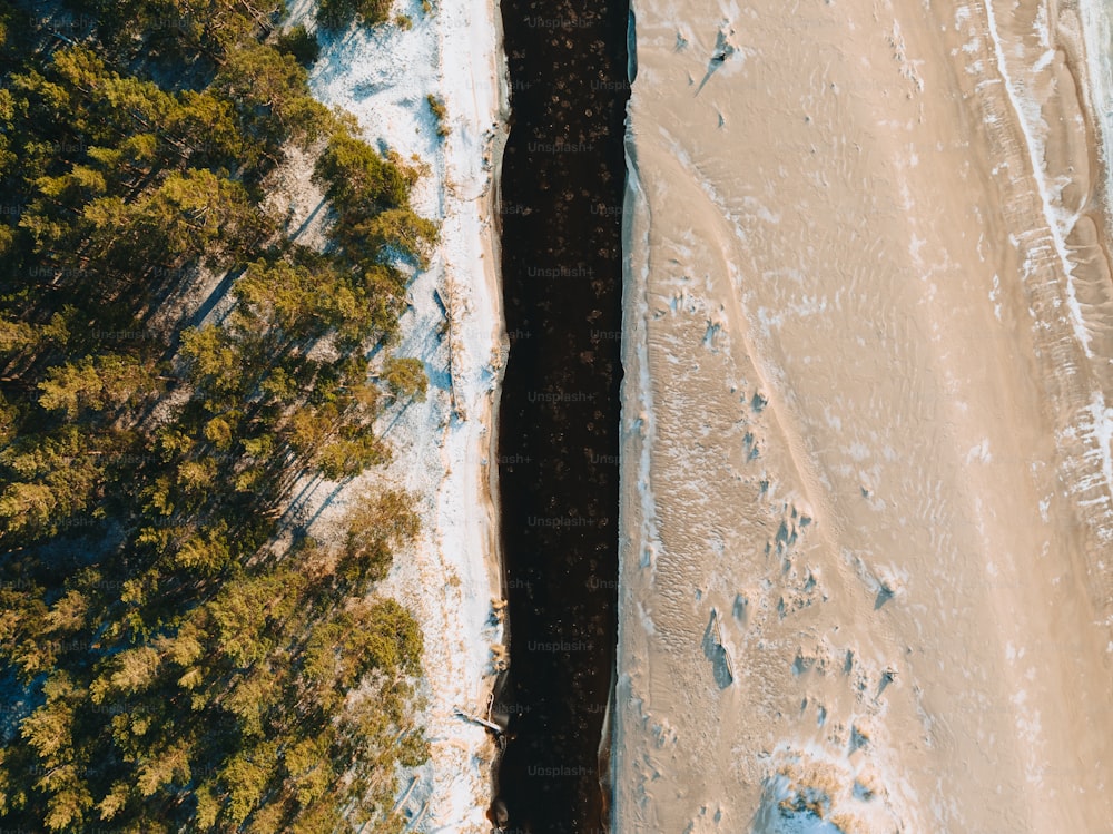 uma vista aérea de uma praia e árvores