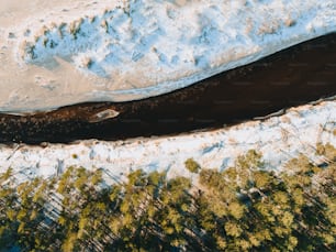an aerial view of a river running through a snow covered forest