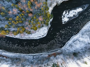 an aerial view of a river surrounded by trees