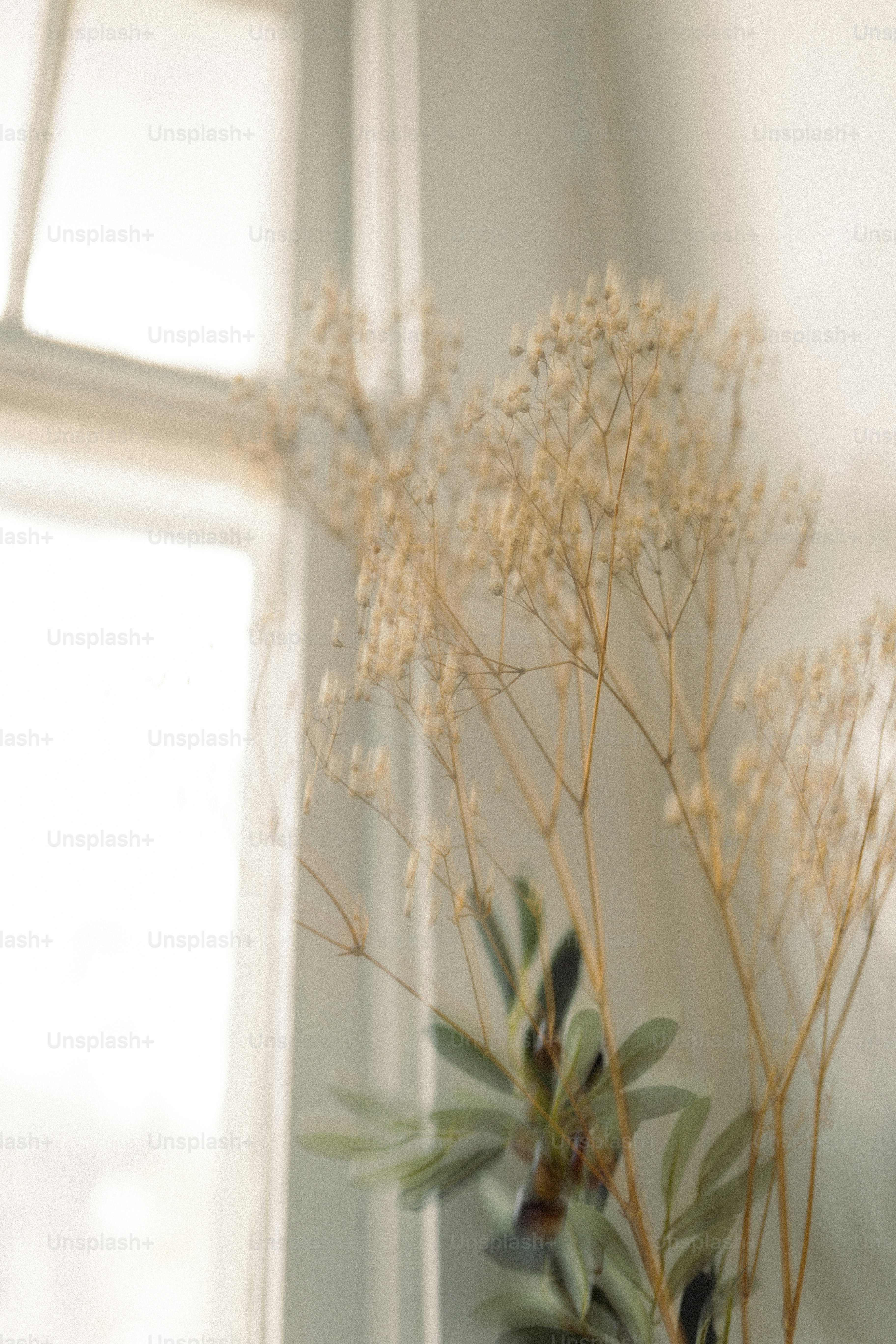 a close up of a vase with a plant in it