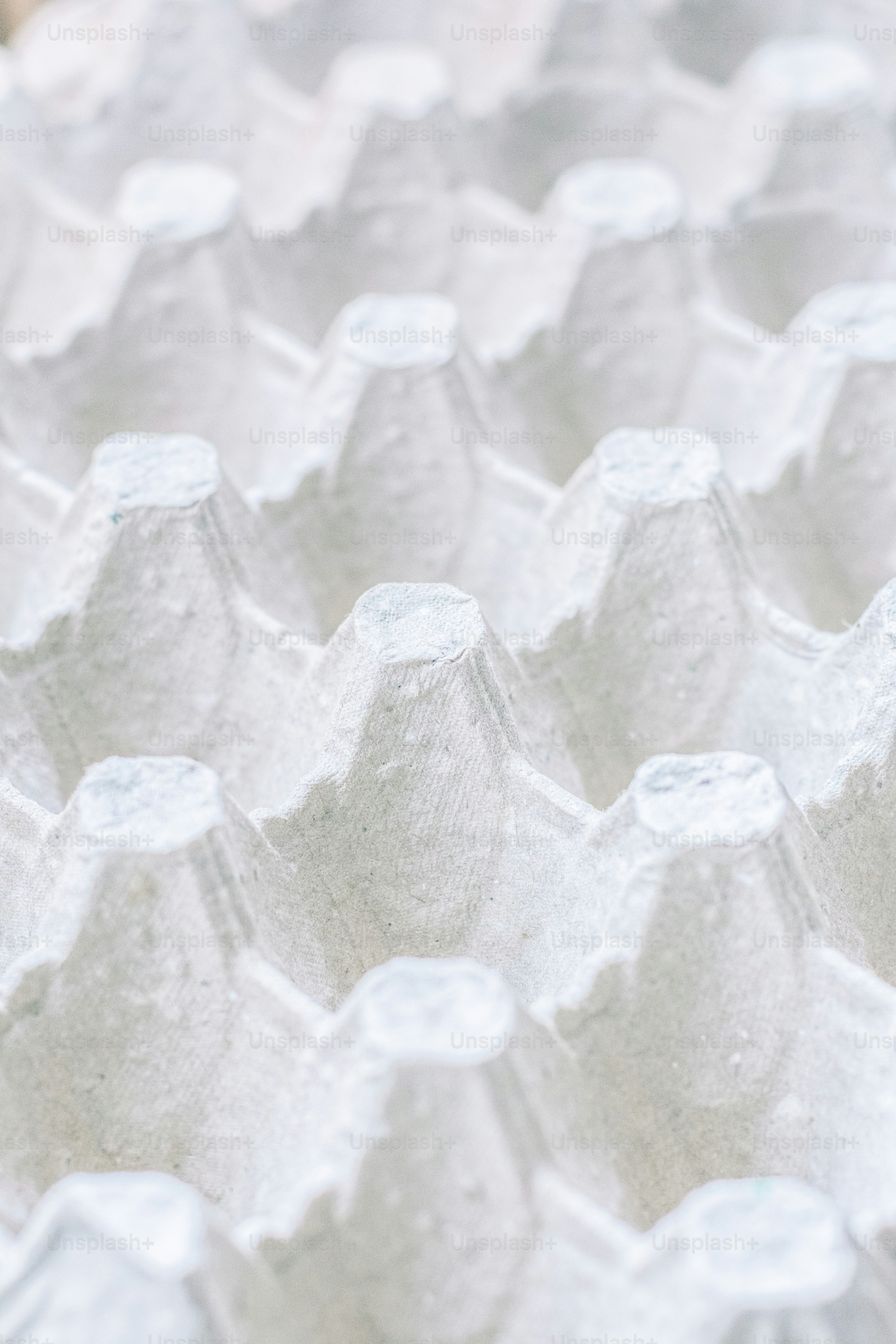 a close up of a bunch of white eggs