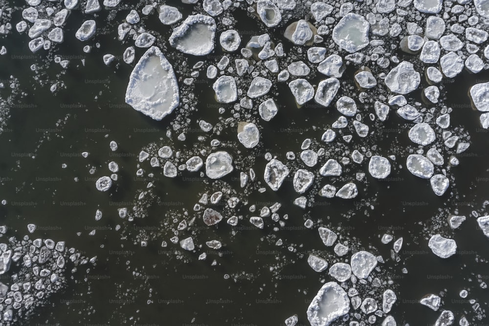 a lot of ice floating on top of a body of water