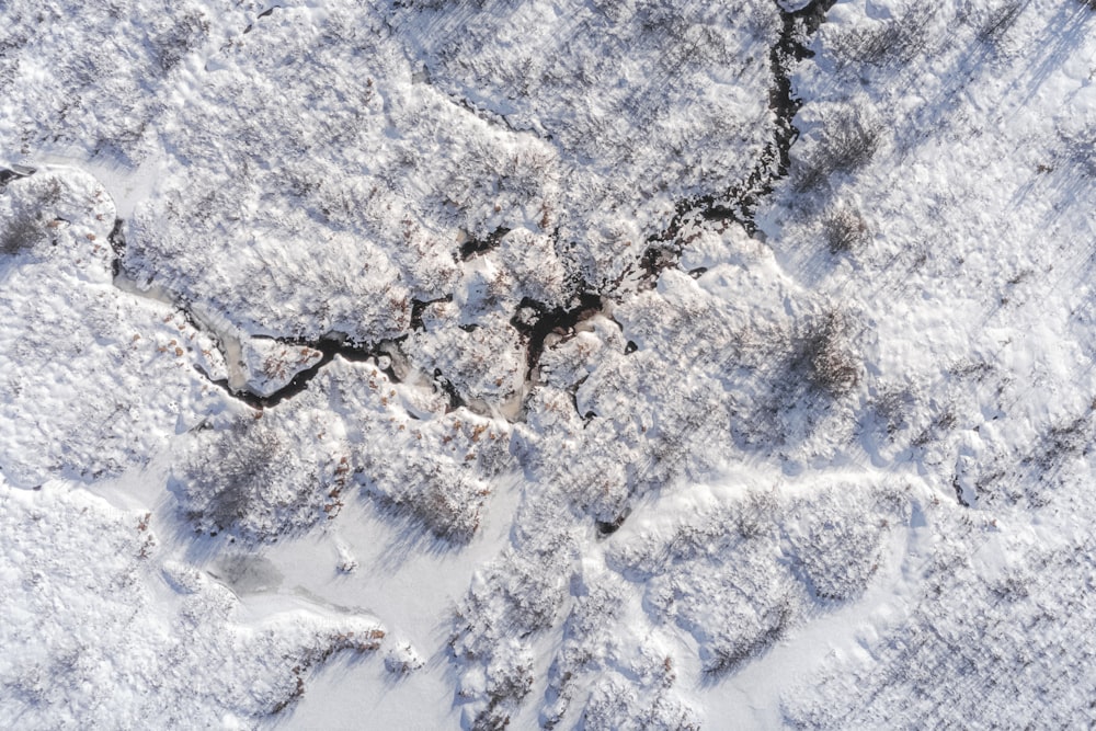 a bird's eye view of a snowy landscape