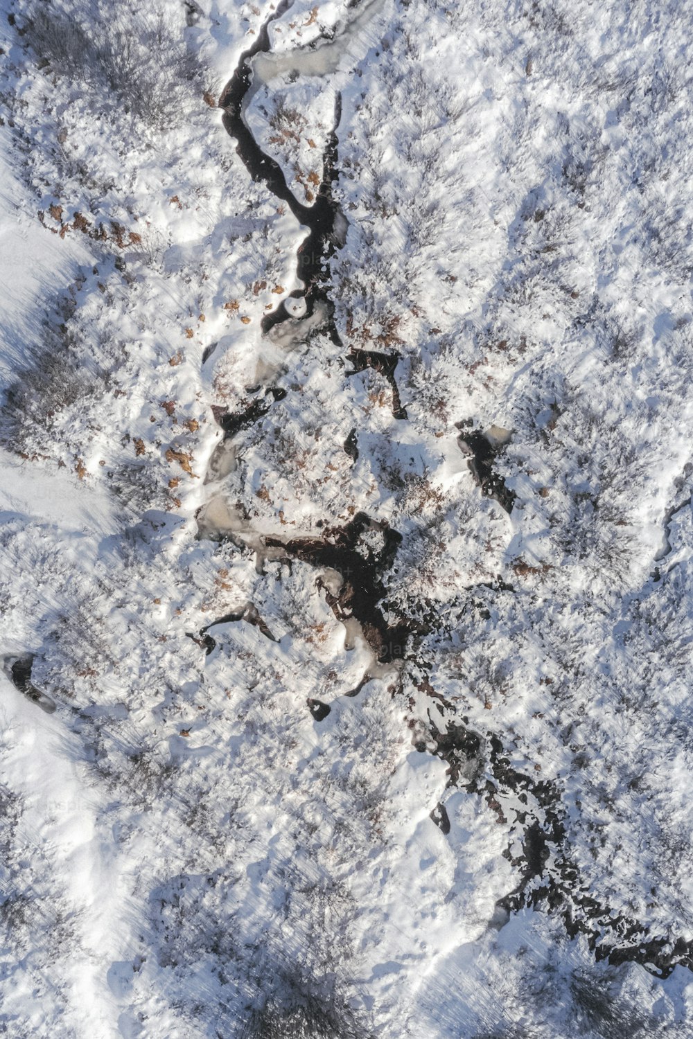 雪に覆われた地面の鳥瞰図