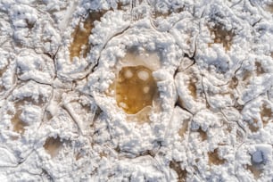 an aerial view of a snow covered ground