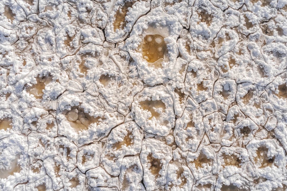 a snow covered surface with small patches of snow