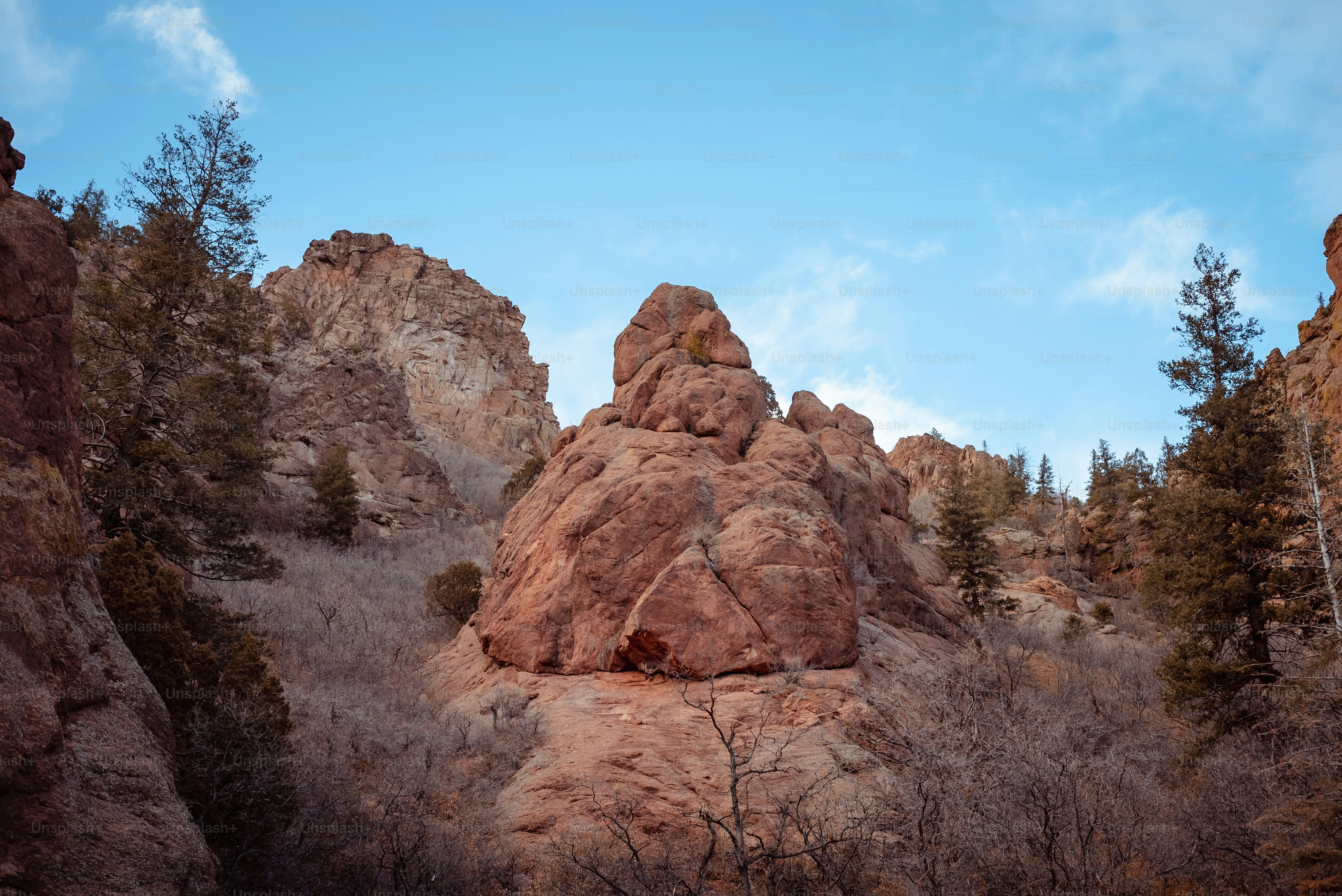 una gran formación rocosa en medio de un bosque
