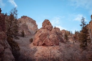 a large rock formation in the middle of a forest