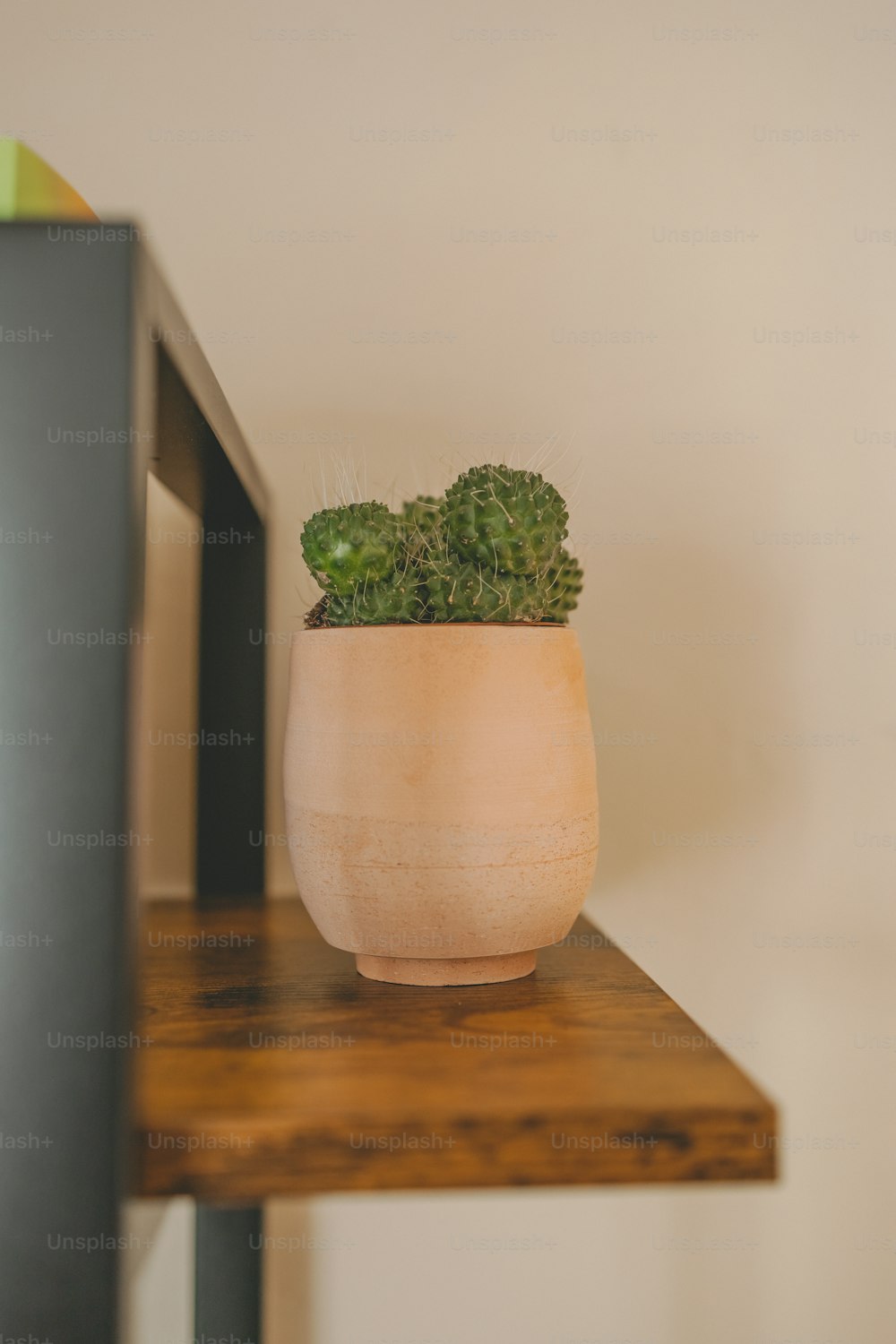 um vaso de planta sentado em cima de uma prateleira de madeira