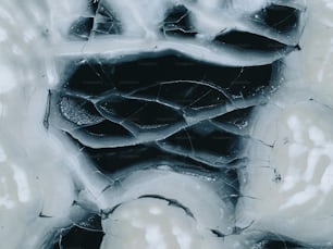 a black and white photo of ice and water