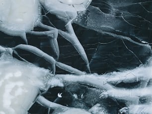 Une photo en noir et blanc de glace et d’eau