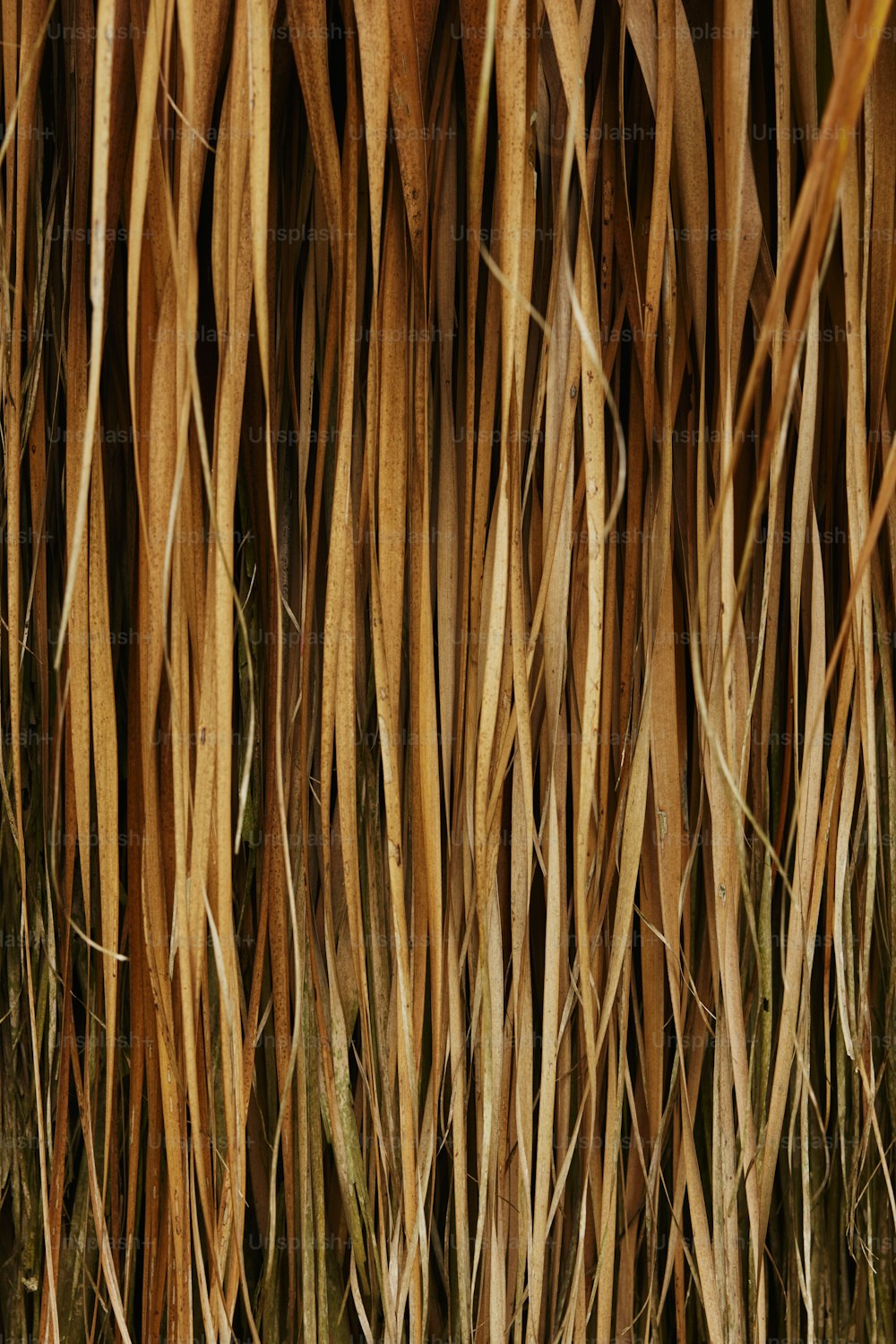 Eine Nahaufnahme eines braunen Grasbündels