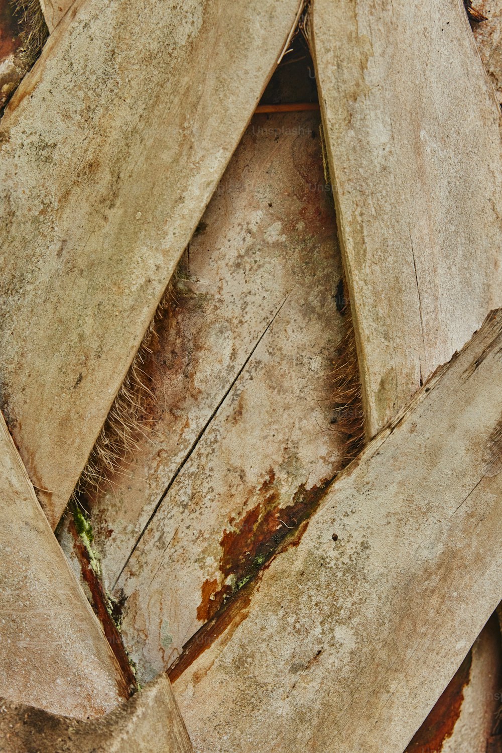 textura de madera con pintura blanca en mal estado - Foto de archivo  #28192819