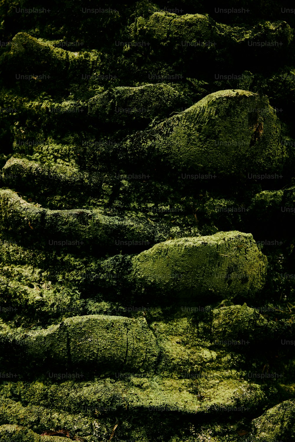 Un primo piano di rocce ricoperte di muschio verde