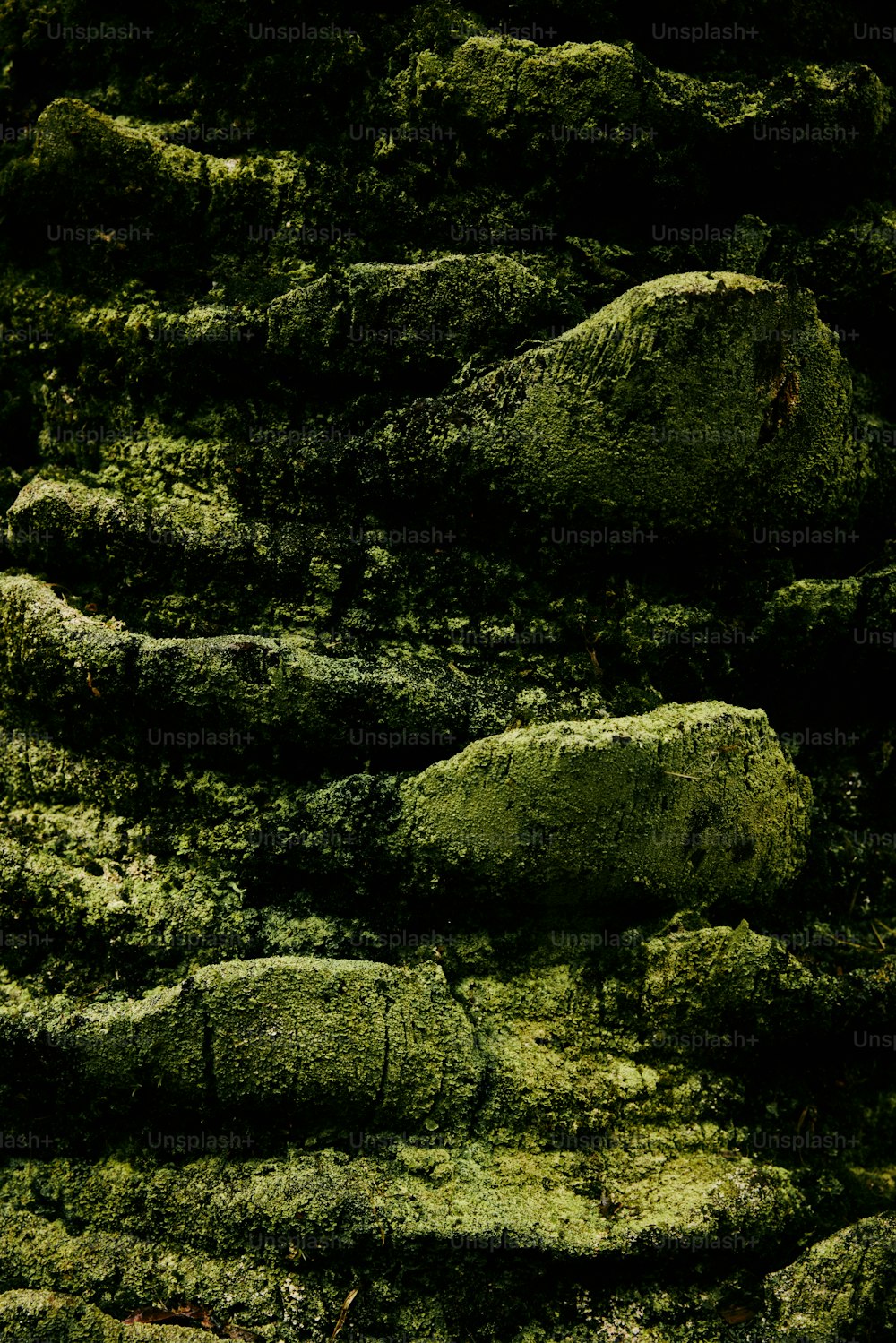 a close up of rocks covered in green moss