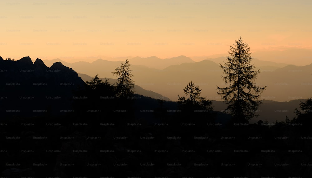 a view of a mountain range with trees in the foreground