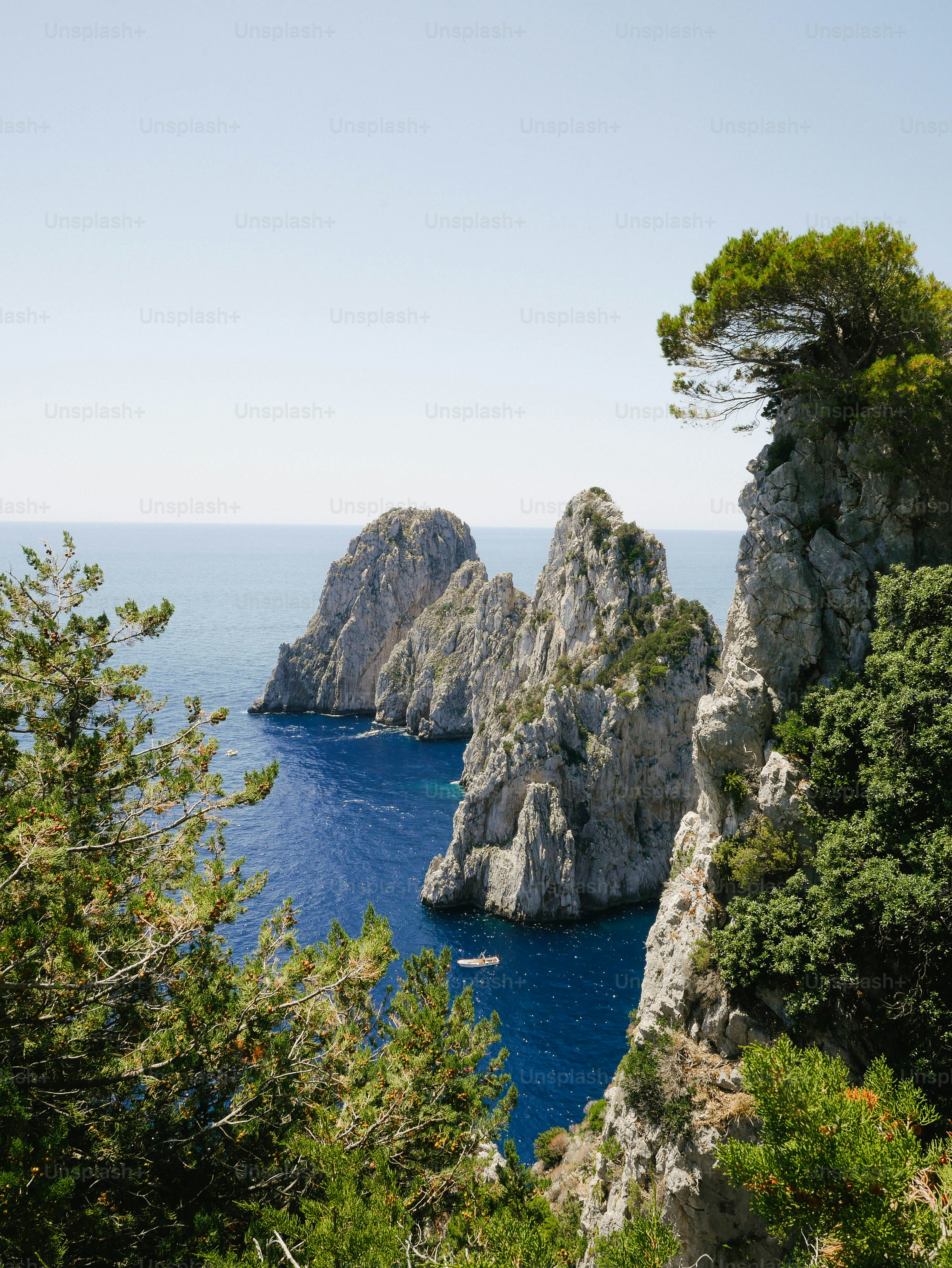 a view of a body of water surrounded by trees