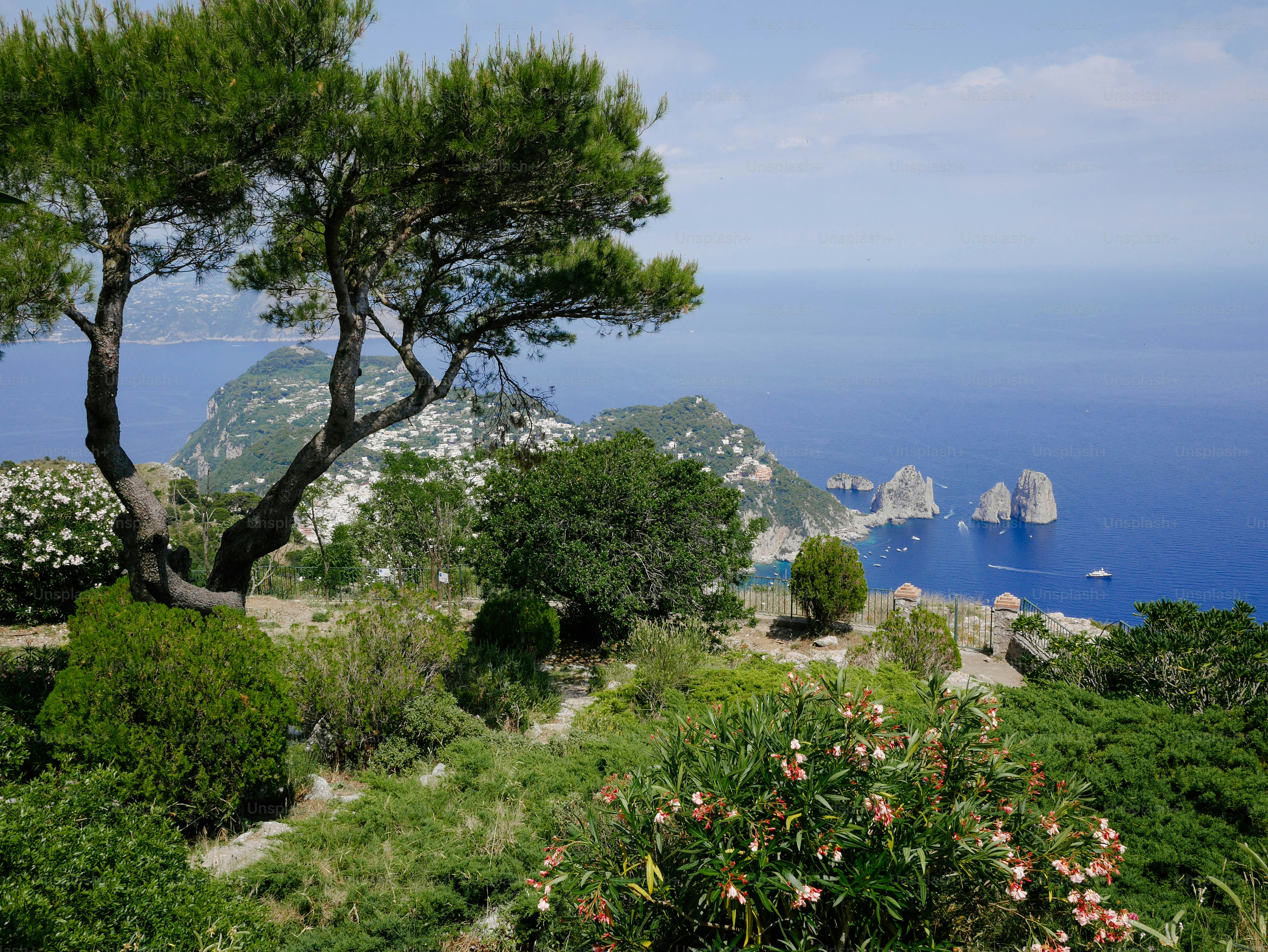 a view of the ocean from a hill top