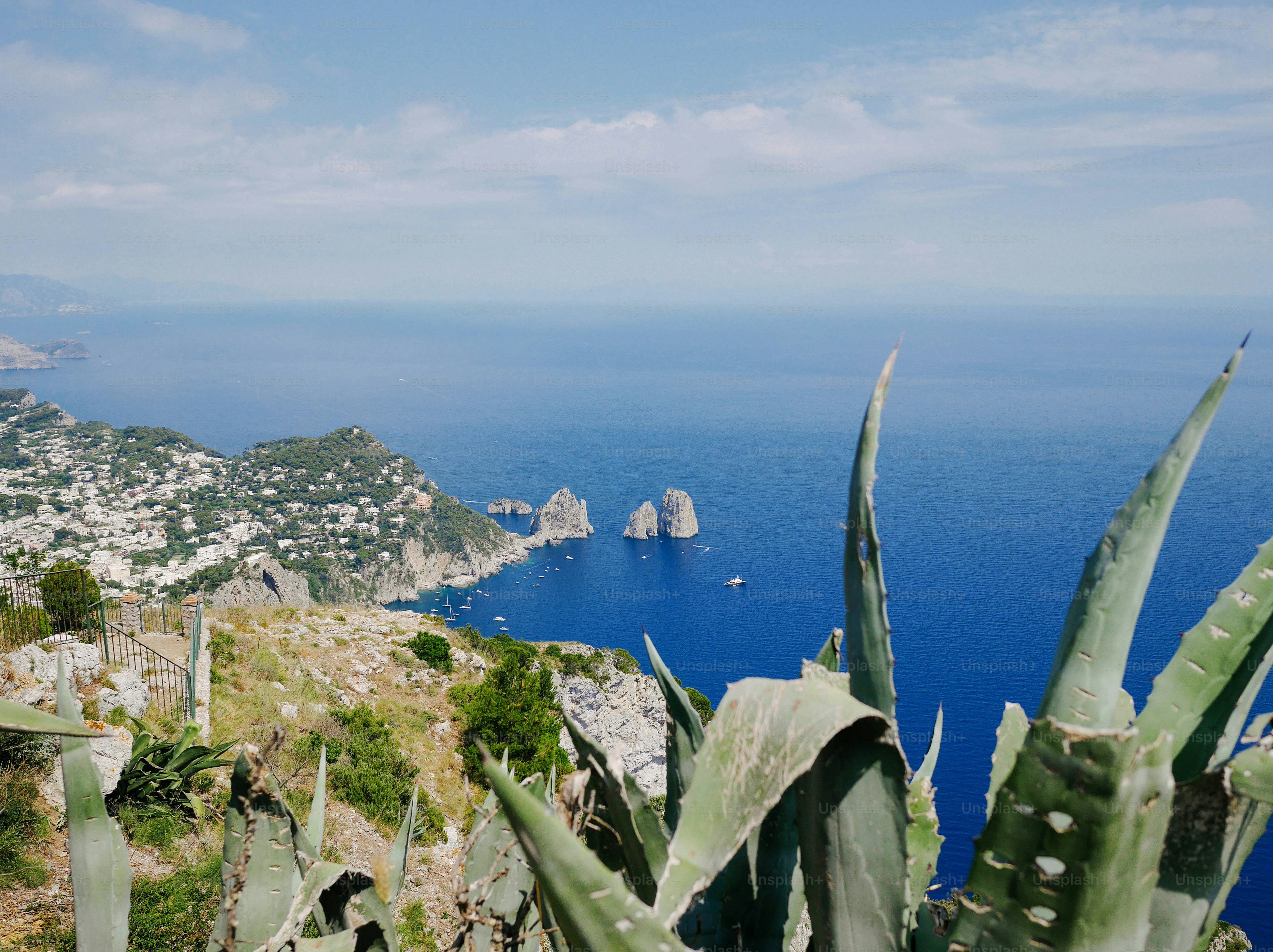 a view of the ocean from the top of a hill