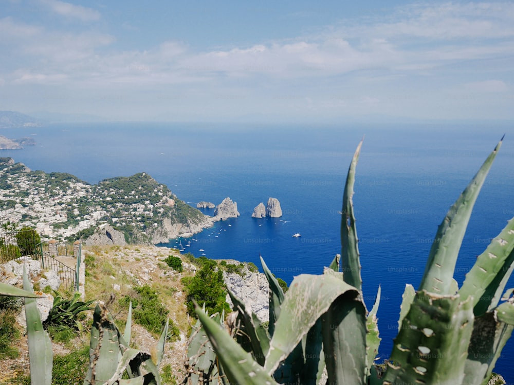 Blick auf das Meer von der Spitze eines Hügels