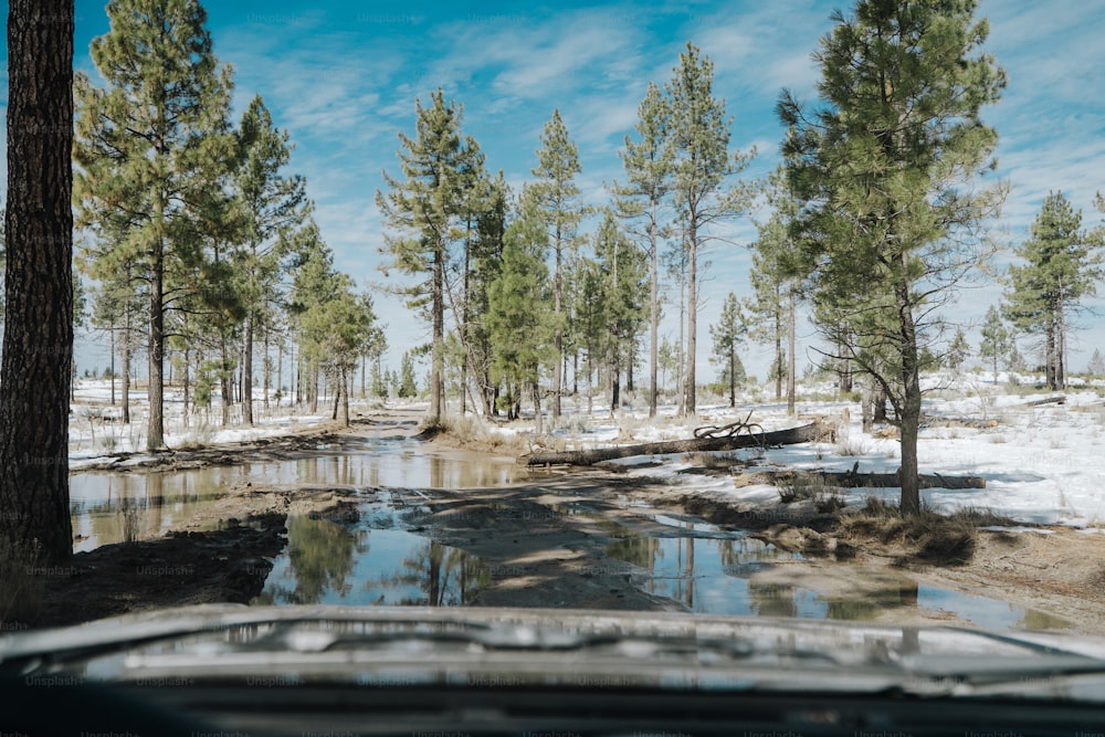 une voiture roulant sur une route enneigée à côté d’une forêt