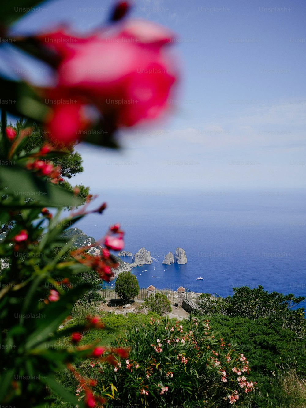 a view of a body of water from a hill