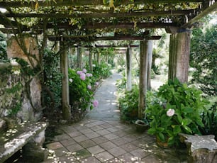 a garden with a stone walkway surrounded by greenery