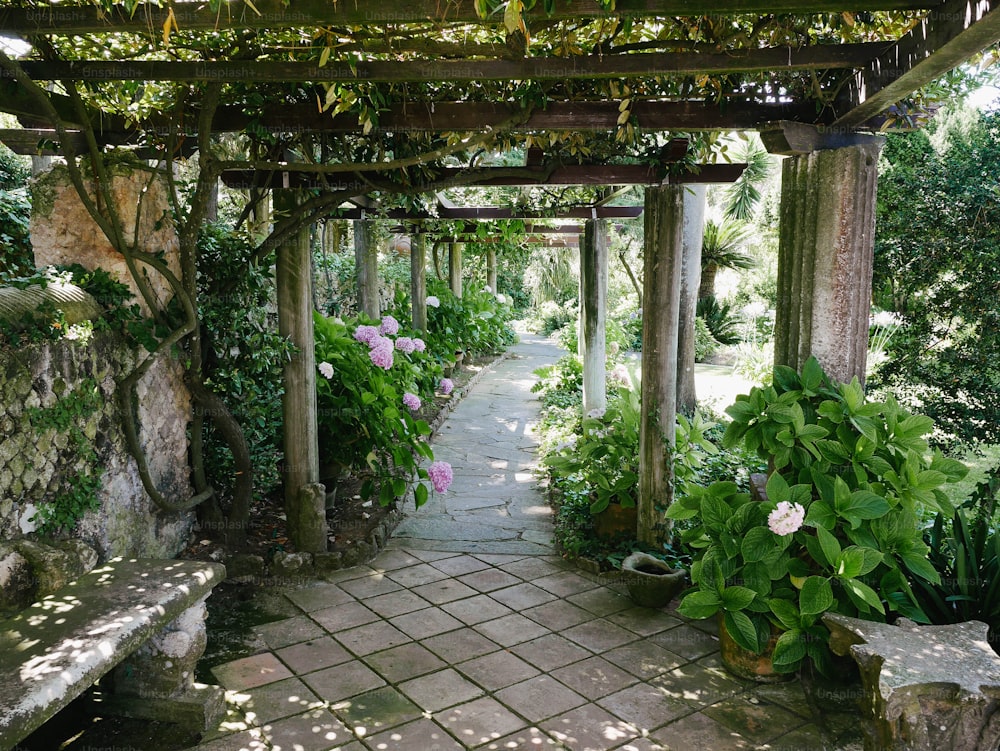 a garden with a stone walkway surrounded by greenery