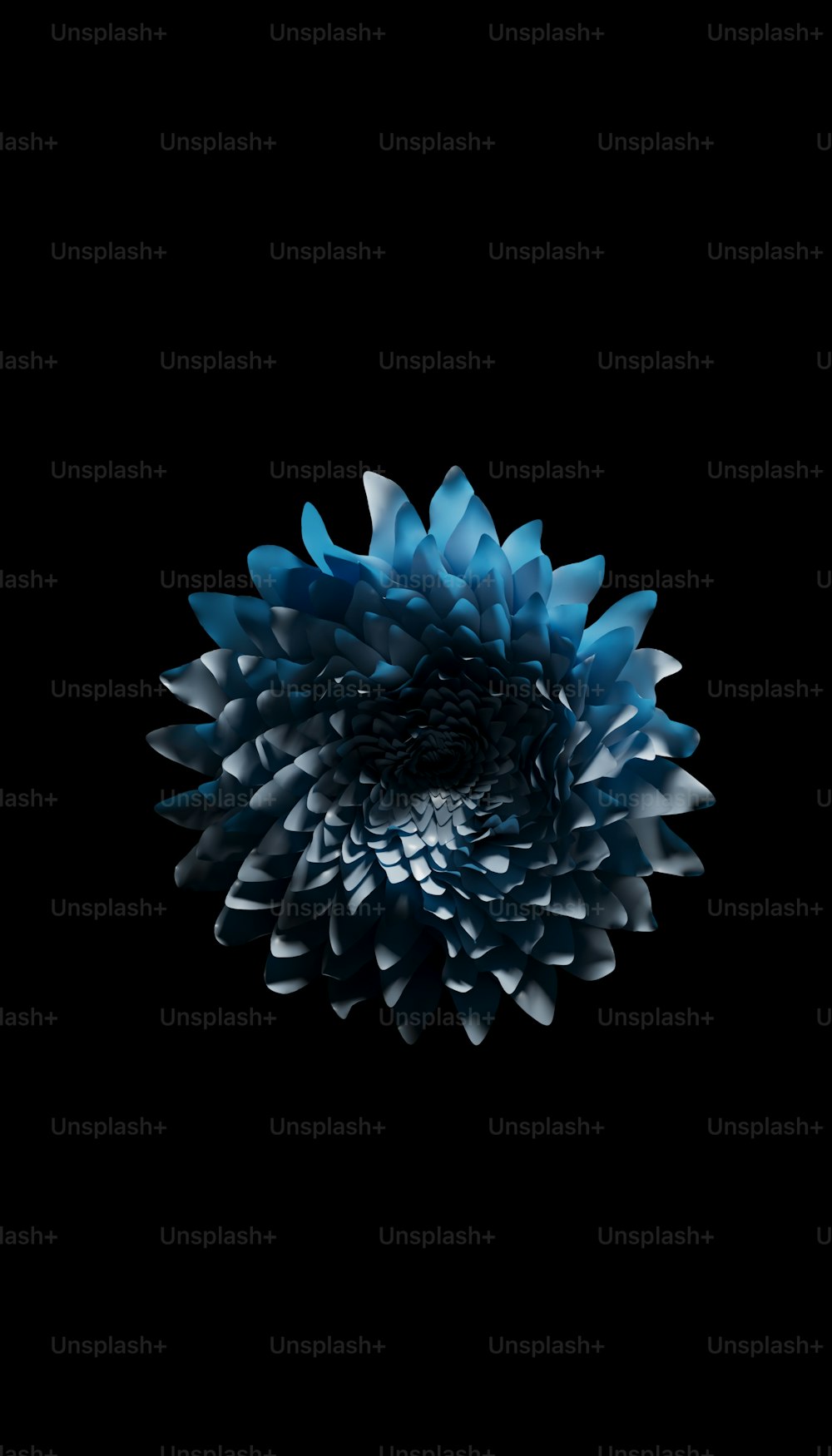 a large blue flower on a black background