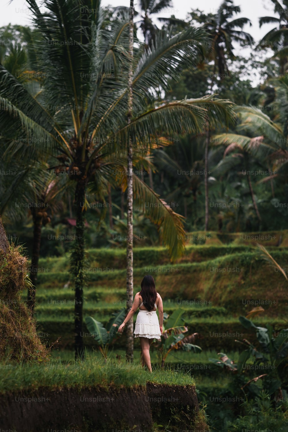 uma mulher em um vestido branco andando através de um campo verde exuberante