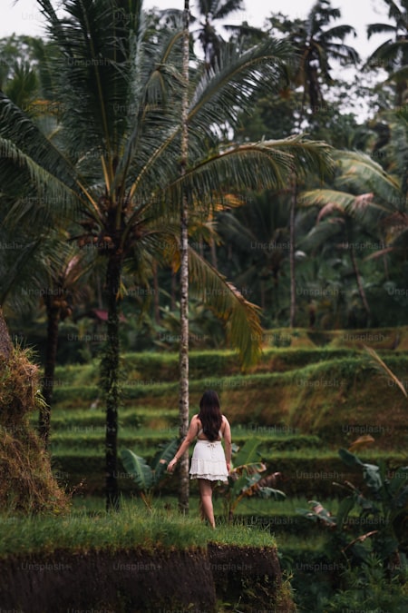 Perfect Bali Itineraries: 3, 5, 7, 10, and 14 Days