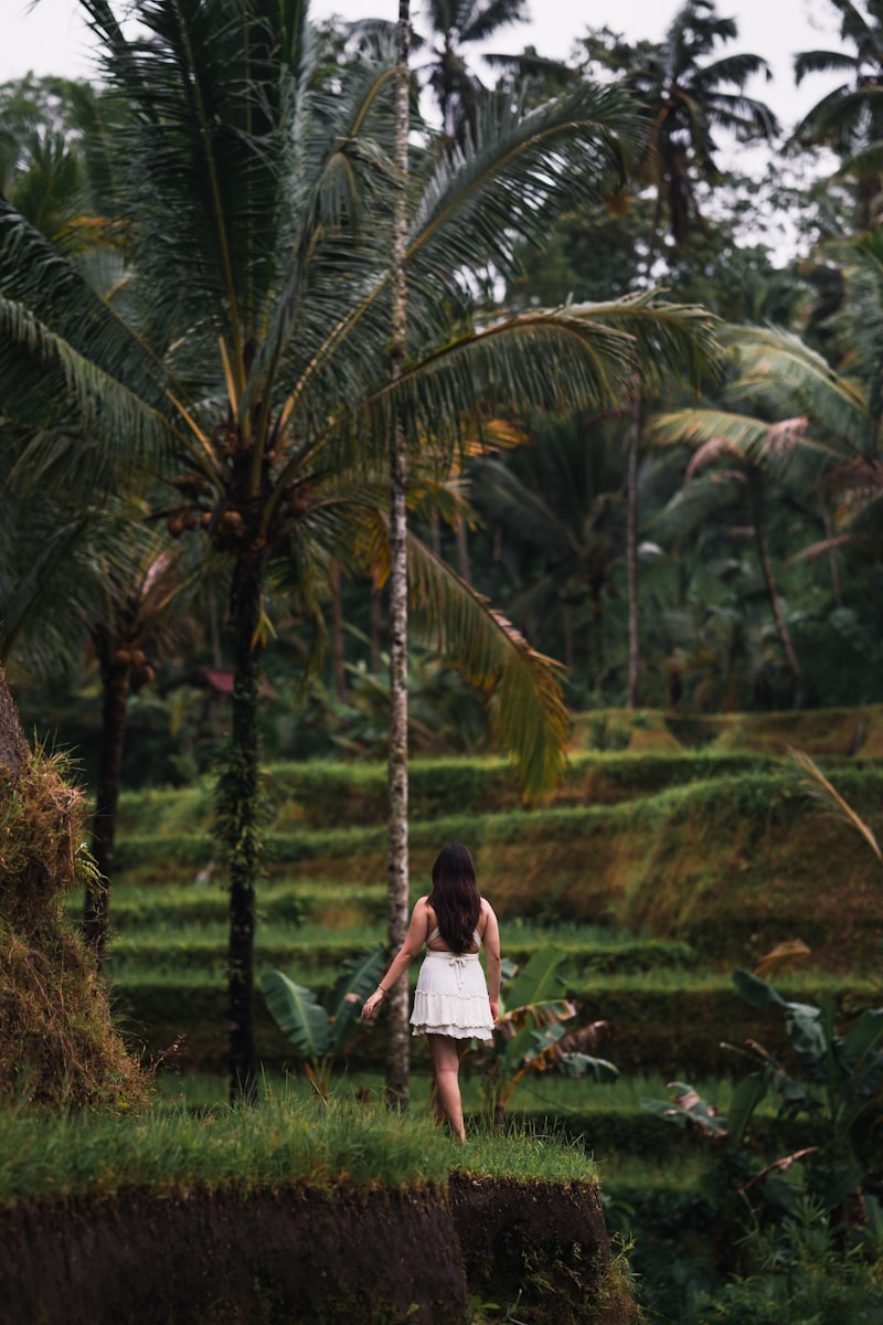 Proses panen sagu tradisional