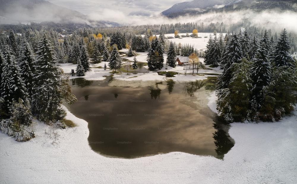 雪に覆われた木々に囲まれた小さな湖